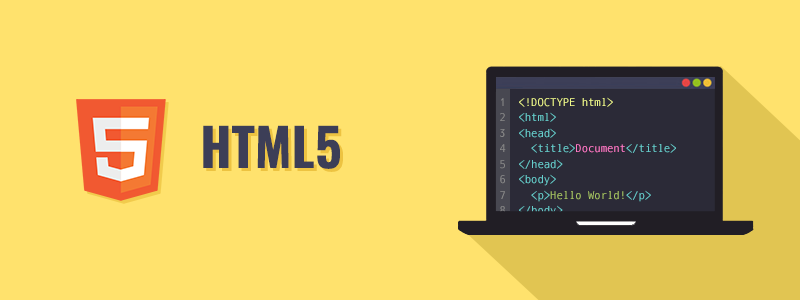 What are the main 3 programming languages need to know for build a website ?